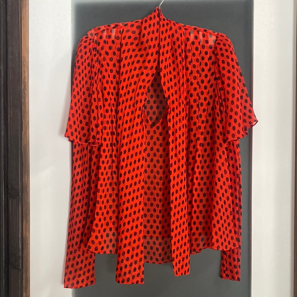 Diane Von Furstenberg Red Polka Dot Blouse